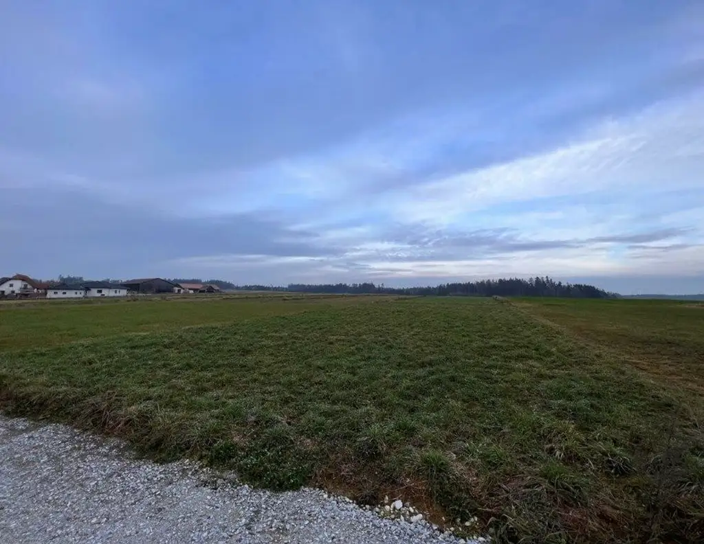 GROSSGLOBNITZ - NEU ERSCHLOSSENE BAUGRUNDSTÜCKE
