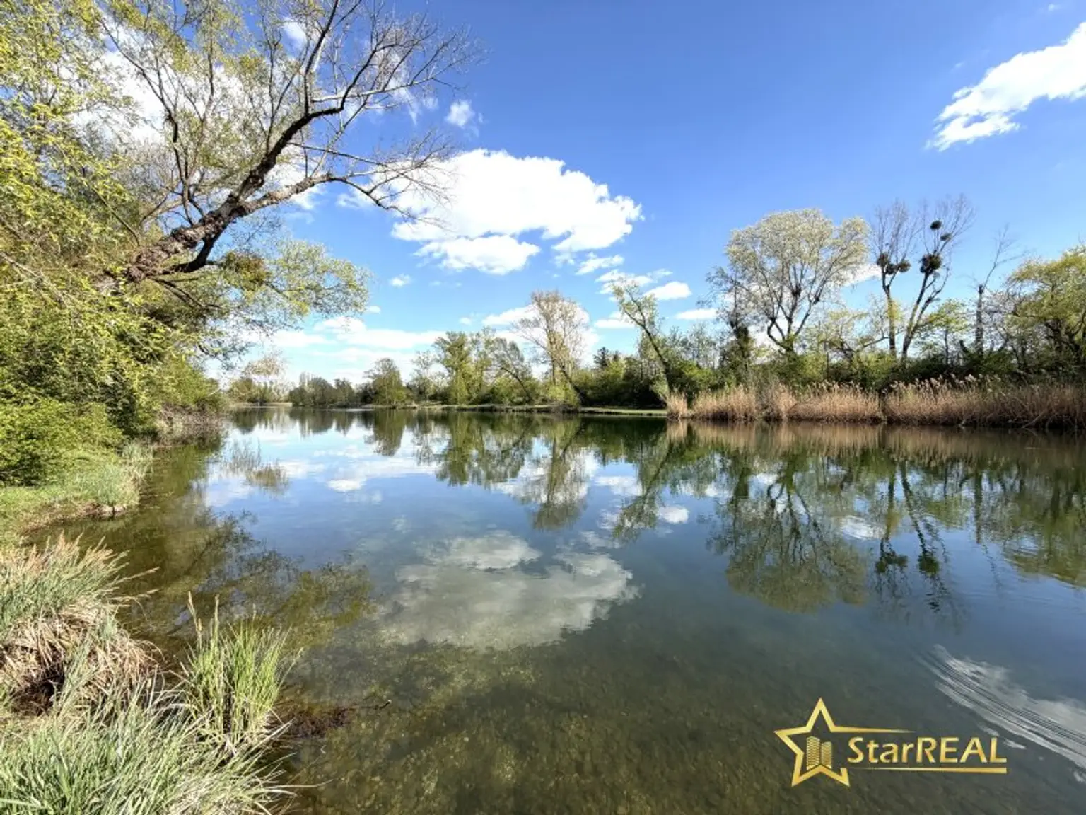 Mühlwasser gegenüberliegende Straßenseite