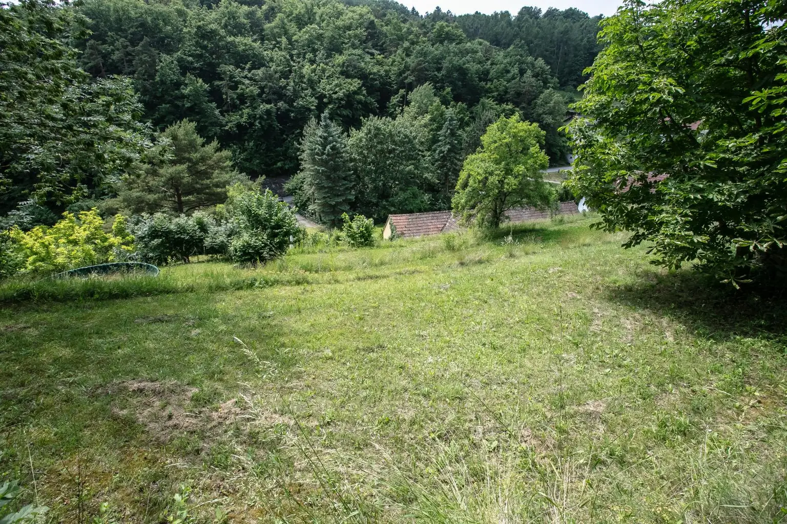 Sonniges Baugrundstück in Krems-Alauntal-Ihre zukünftige Ruheoase?