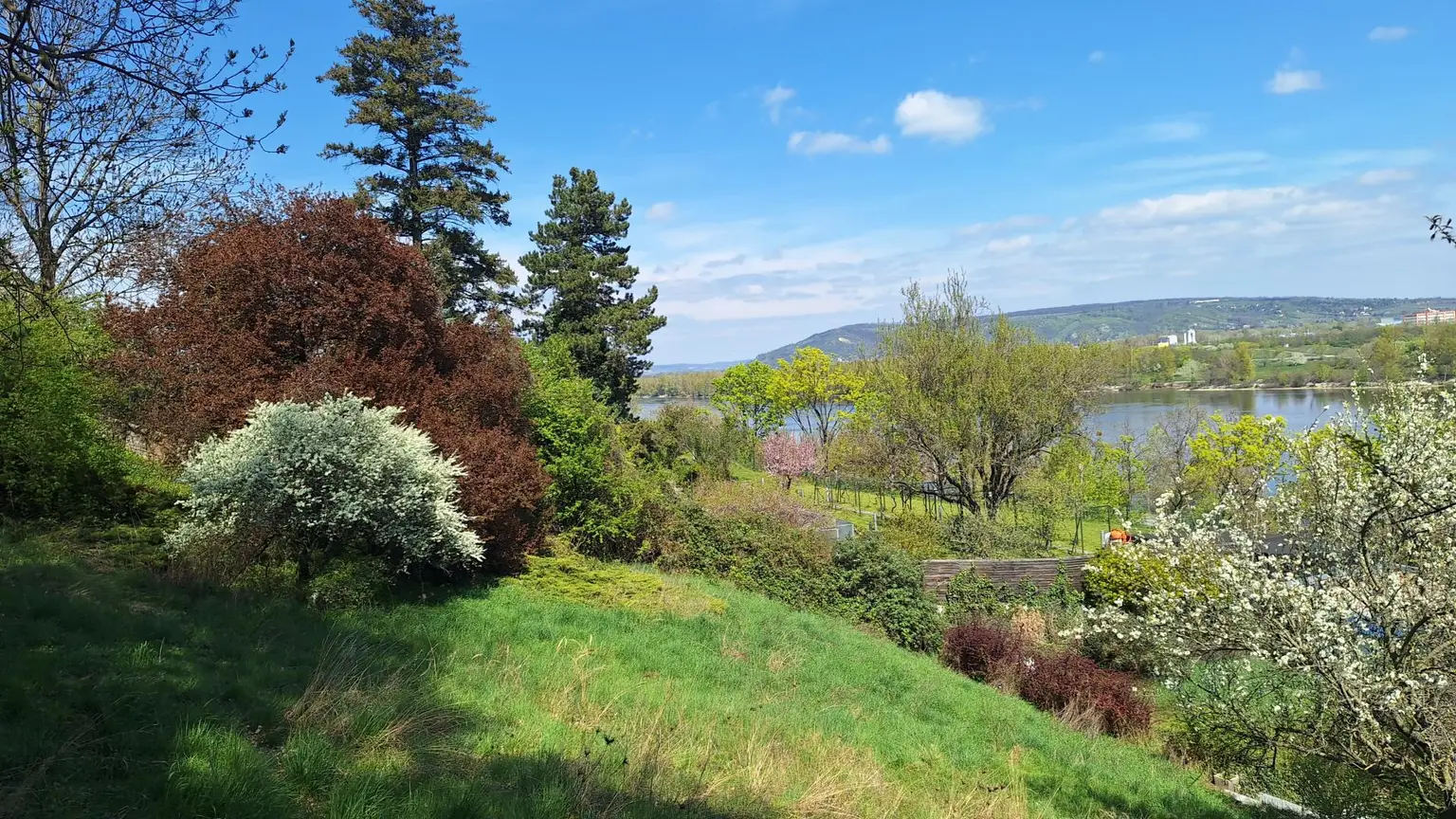 Edelrohbau-Villa, Herrschaftlicher Wohnsitz am Fuße des Kahlenberges an der Donau. Teilrestauriert entkernt und komplette Ausbauplanung.