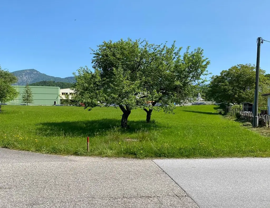 Großzügiger Baugrund zu kaufen - ein ruhiger Bauplatz für Ihr Zuhause!