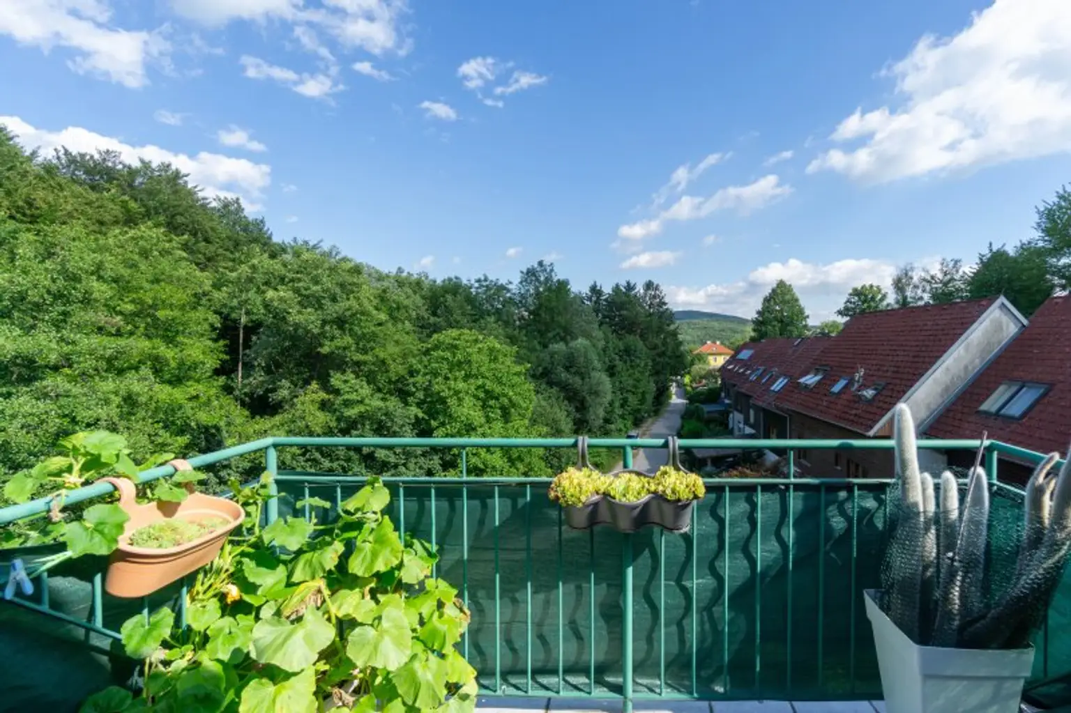 Ausblick Terrasse 2