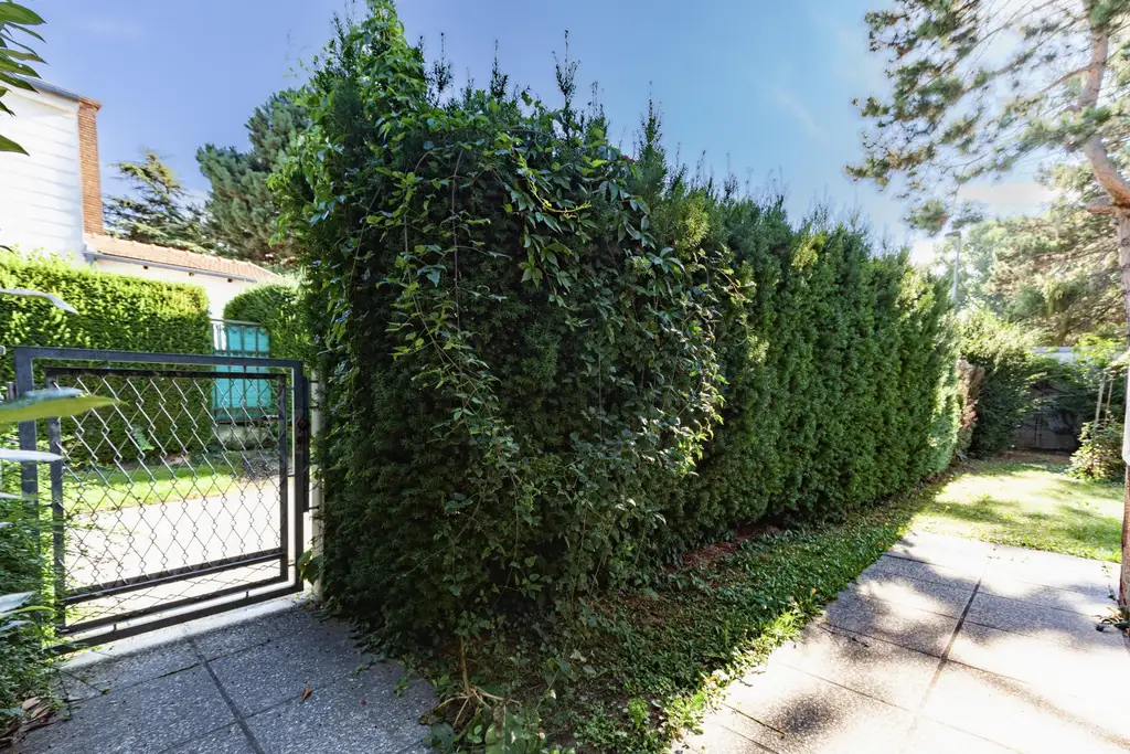 „Haus auf Eigengrund in Langenzersdorf!“