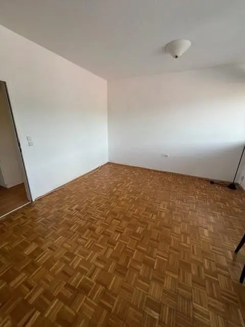 Wohn-/Ess-/Schlafzimmer