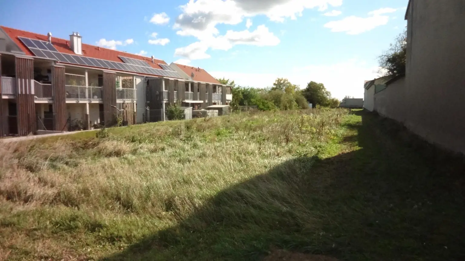 Aufgeschlossenes Grundstück in bester Lage am Ortsrand von Gols!