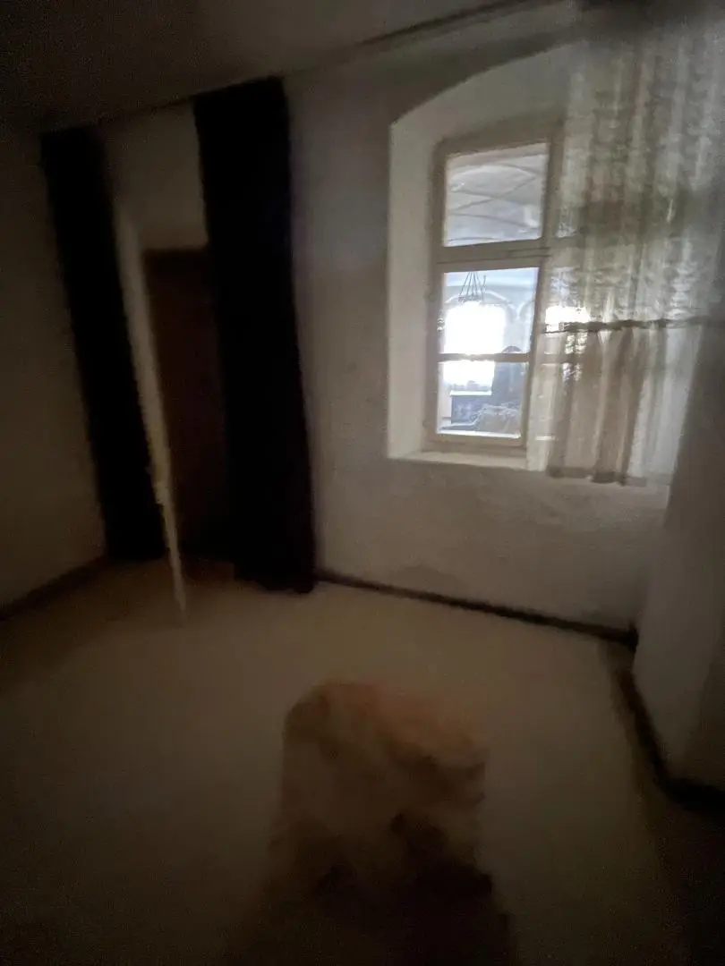 26-01-19 14-19-50 0788