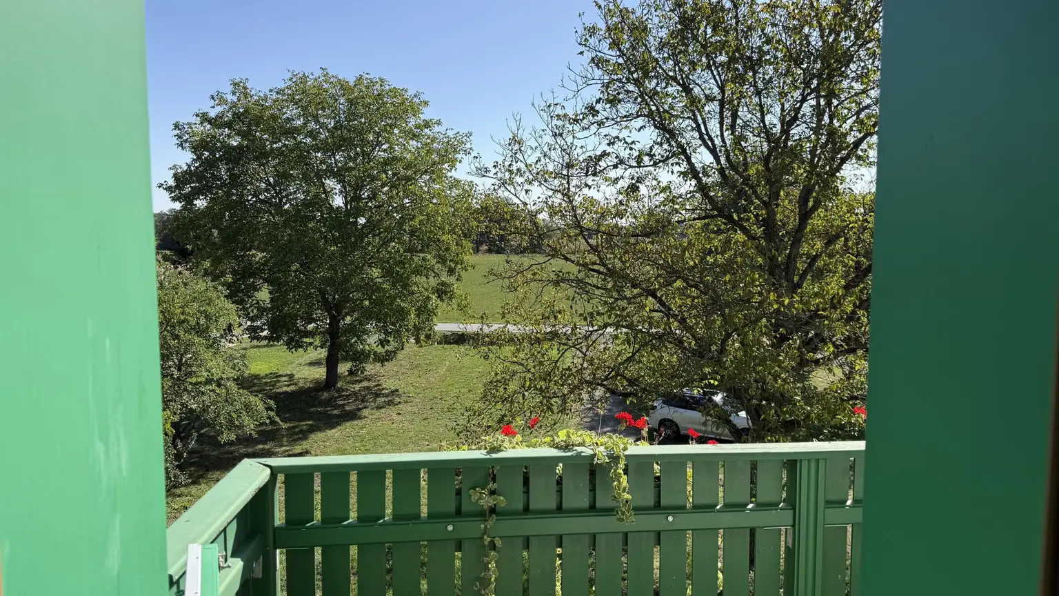Blick ins Grüne