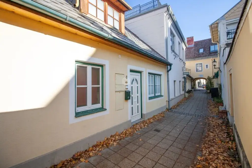 Charmantes Landhaus im Schlossergäßchen – Ruheoase im Herzen von Baden