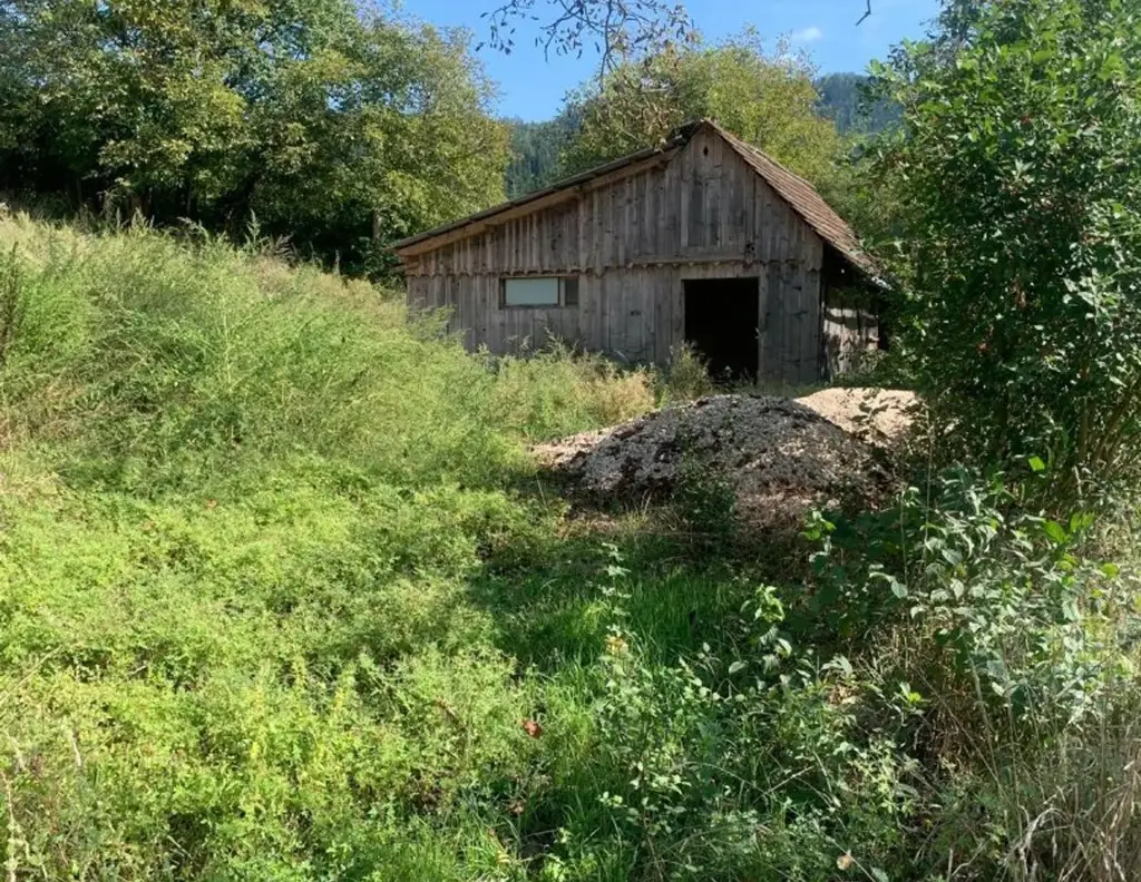 St Veit / St Donat : 2,7 Ha Land- und Forstw. -Grundstück mit Widmungpotenzial , zzt Pferde Weide mit Stall & Quelle, in traumhafter Lage in Kärnten - für 349.000,00 € zu haben!