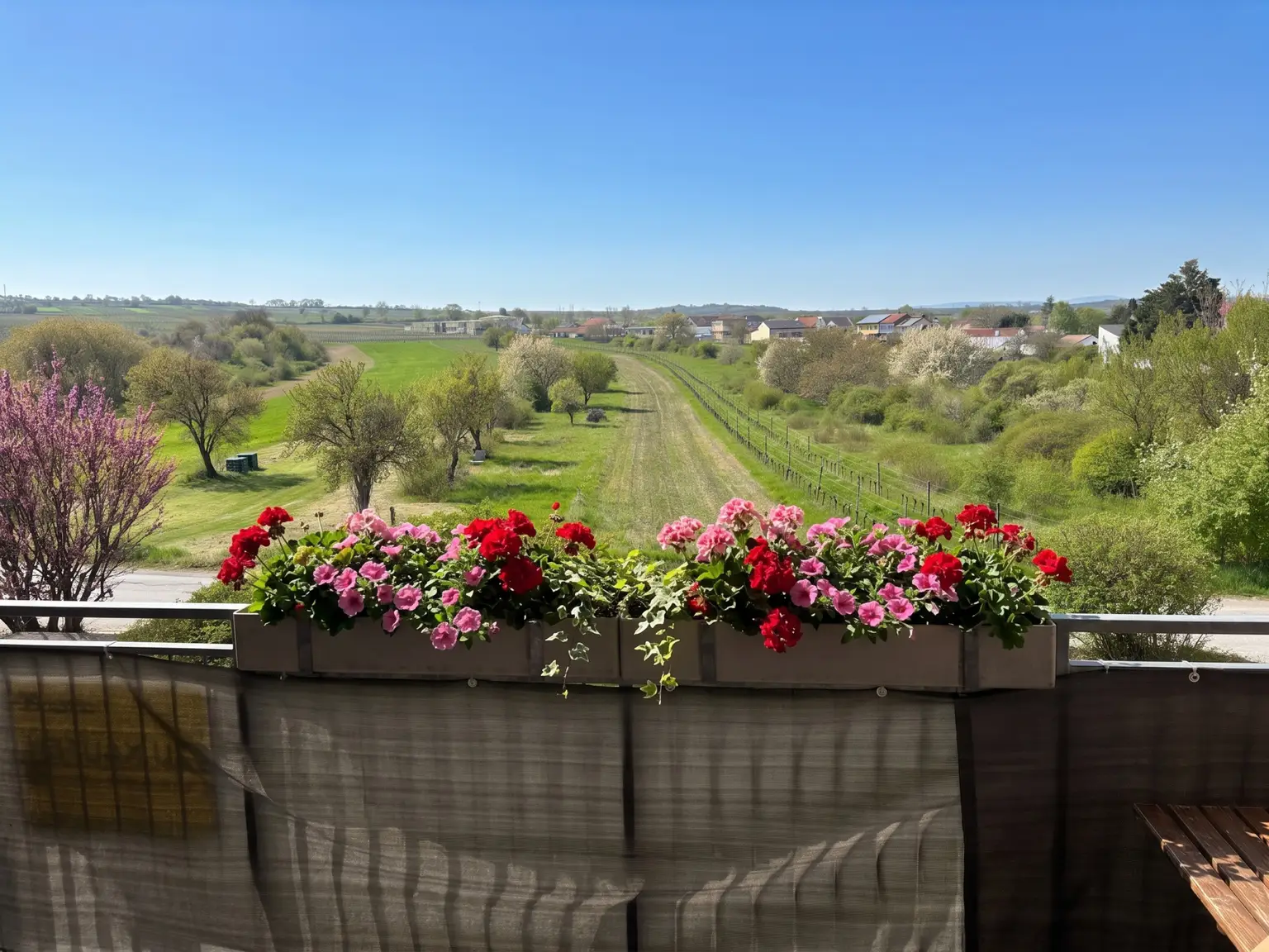 Ausblick Loggia Weingarten (Himmel und Blumen KI)