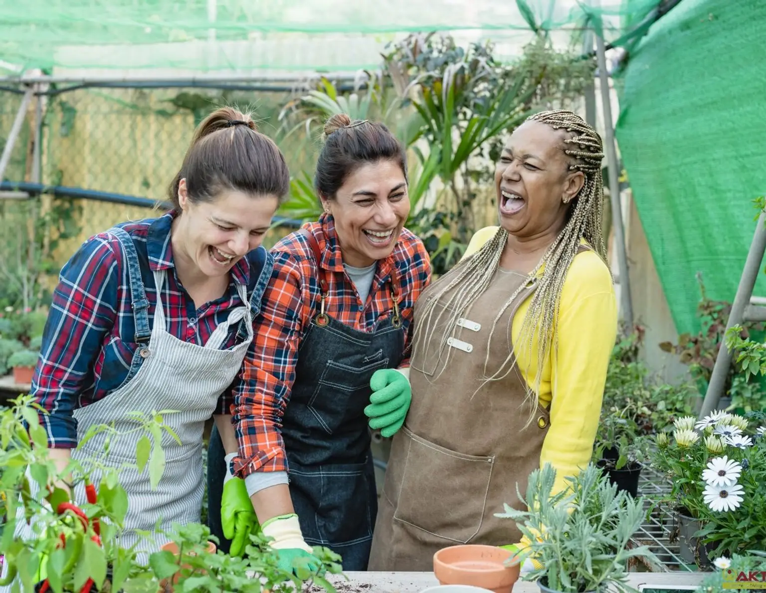 Kleingarten zur Pacht. - Neue Gartenanlage in Planung: Jetzt vormerken lassen!