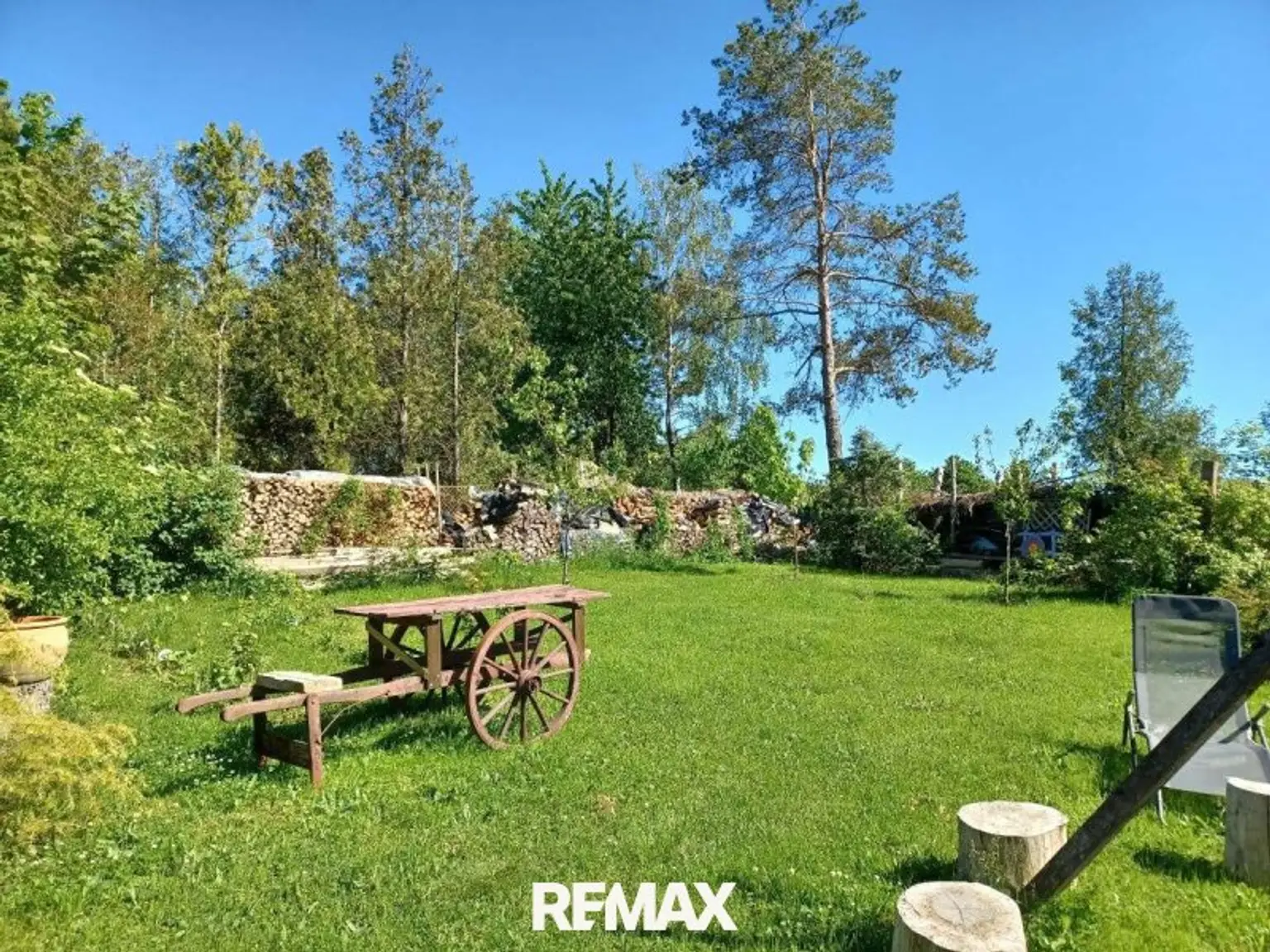 Garteneindrücke Sommer (3)