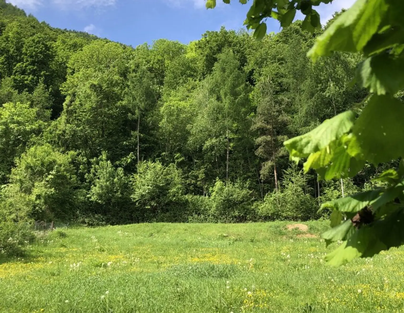 805 m² Grundstück direkt am RADWEG, aufgeschlossen, SONNENLAGE 8051 GÖSTING