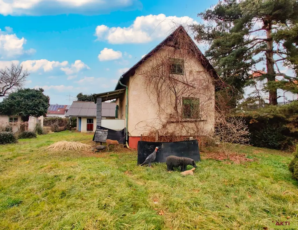 Großes Potential zentral in Gratwein. - Bis zu ca. 300 m² Nutzfläche möglich. - Chance für As-Sanierung.