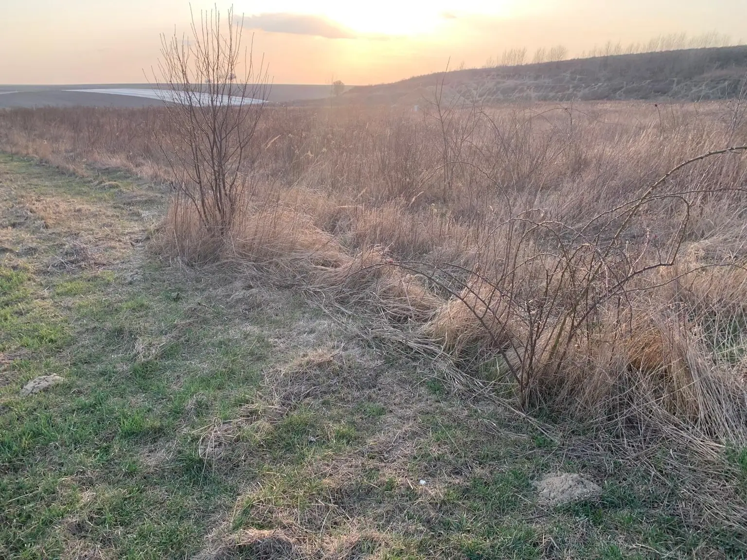 INDUSTRIEGRUNDSTÜCK - 40 Minuten vor Wien
