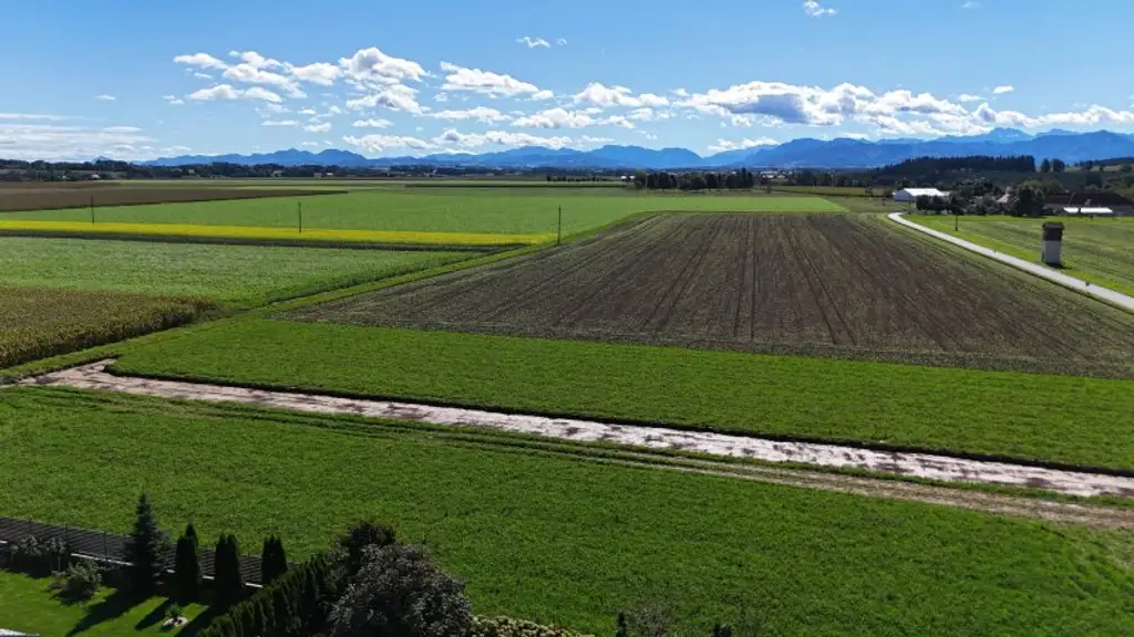 Ebenes Baugrundstück im Grünen | Steinerkirchen Frohnhofen | GST-Nr. 1100/2