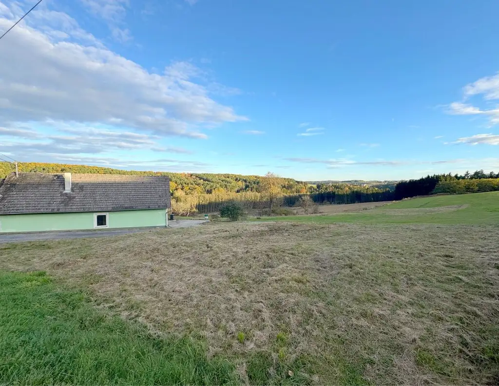 Sonniger Baugrund in STEGERSBACH mit genug Grünland und Wald