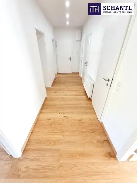 Ruheoase im Grünen! Sonnig. Saniert. Einfach super! Erstbezug mit Wohlfühlfaktor! 4 Zimmer + 2 Balkone + Garagenplatz + Hochwertige Einbauküche! Grün wohin das Auge reicht!