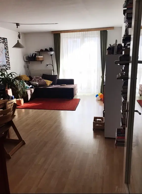 großzügige 2-Zimmerwohnung mit Balkon und Tiefgarage am Mur-Radweg in Andritz - Am Arlandgrund