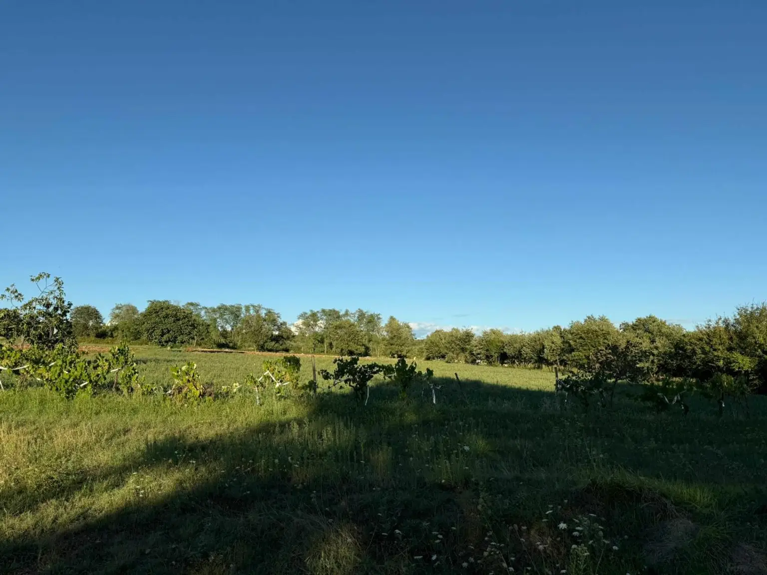 Kroatien-Istrien: Tolle küstennahe Baugrundstücke in traumhafter Naturlage