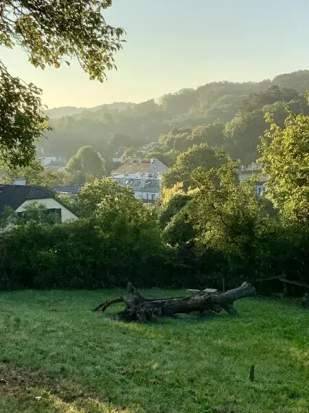 Charmantes Haus mit wunderschönem Garten in Top-Lage Nähe ISTA in Klosterneuburg/Kierling.