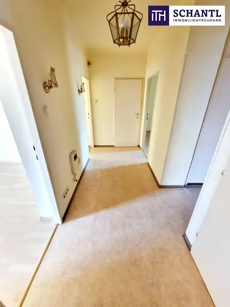 Absolute Grün- und Ruhelage! Gebraucht. Gepflegt. Geliebt! Perfekt aufgeteilte 3-Zimmer + separate Küche / 2 Balkone / Viele Möglichkeiten! Ruhig wohnen, gut leben!