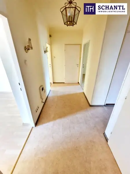 Absolute Grün- und Ruhelage! Gebraucht. Gepflegt. Geliebt! Perfekt aufgeteilte 3-Zimmer + separate Küche / 2 Balkone / Viele Möglichkeiten! Ruhig wohnen, gut leben!