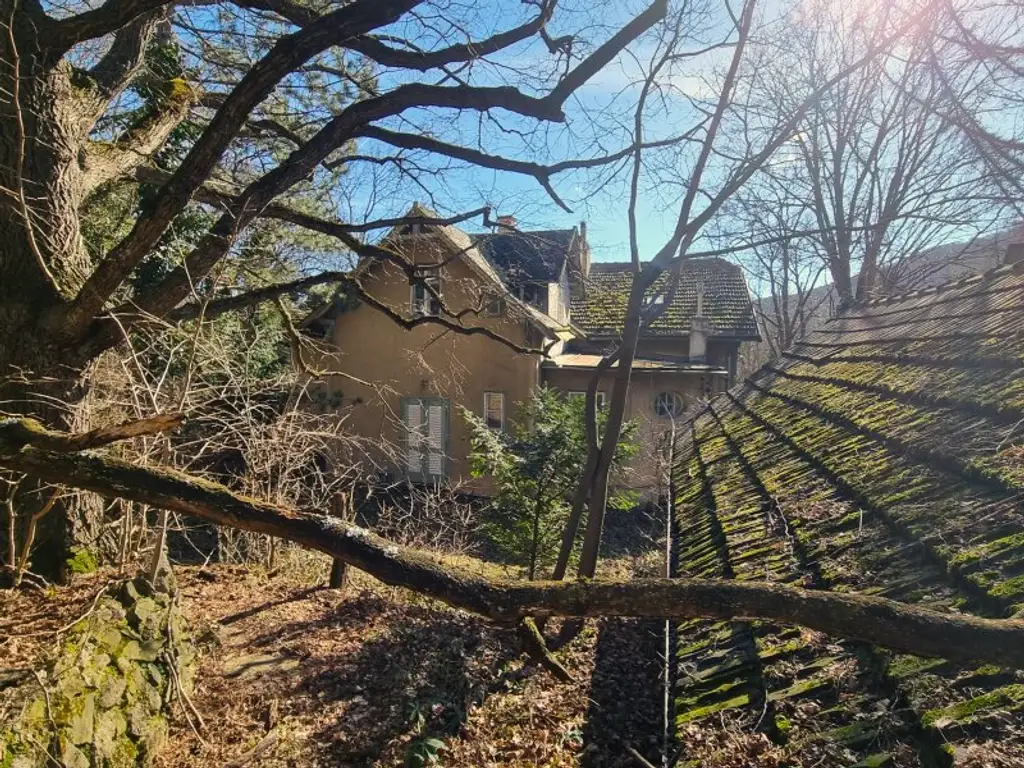 Ob alte Villa-neuer Bau, auf Riesengrund nach Süden schau!