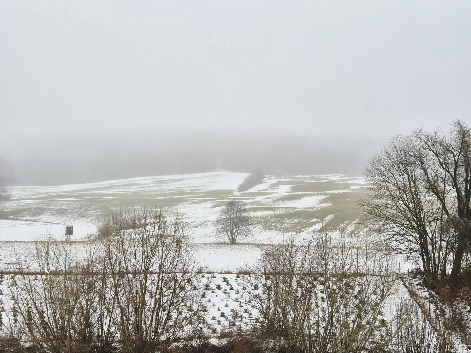 Ansicht I Acker & Wiese