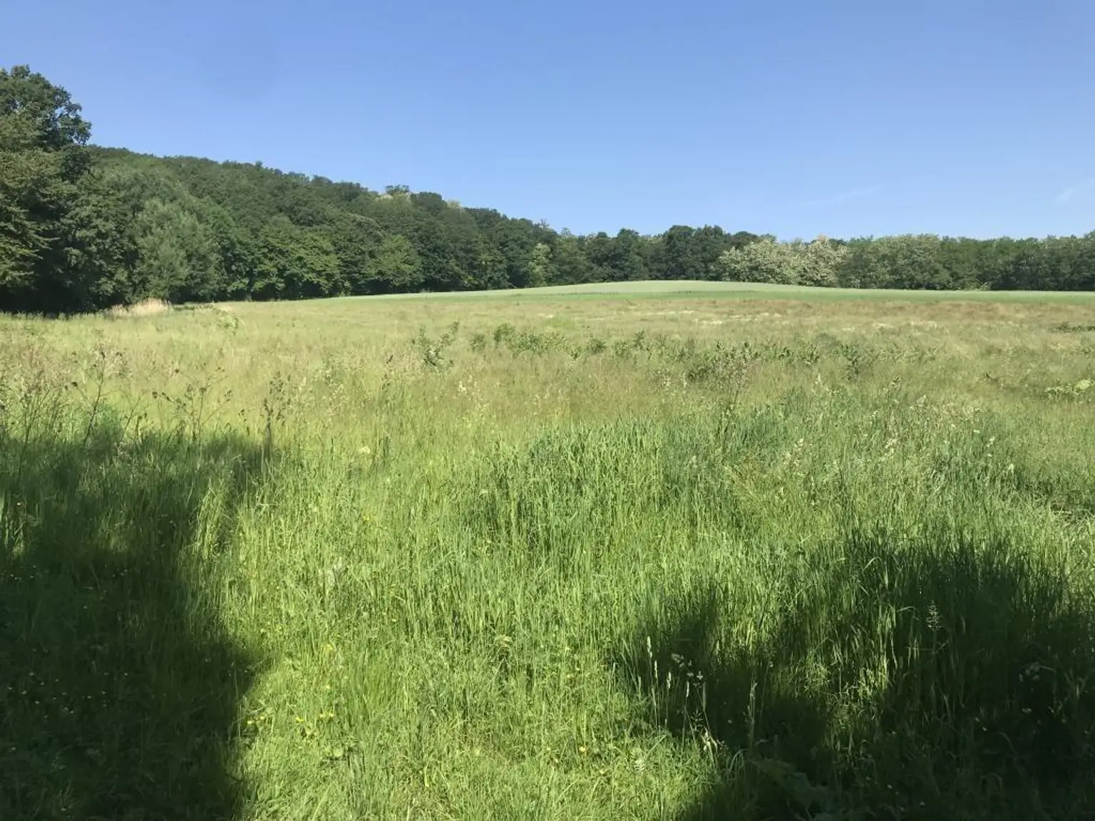 Ausblick Richtung Westen