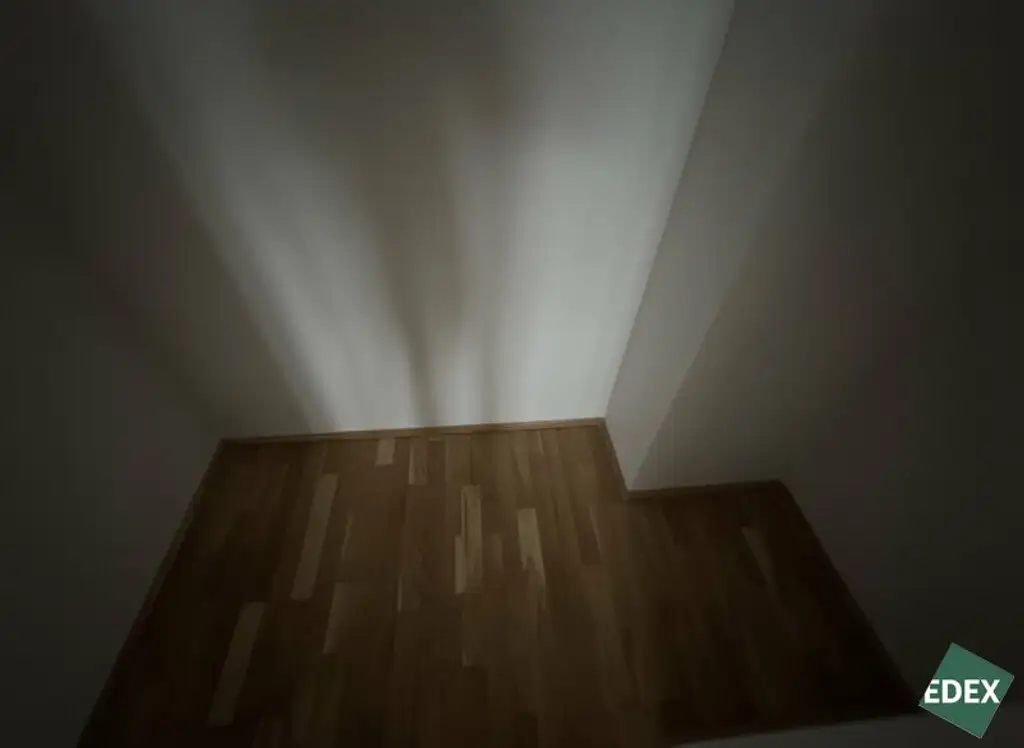 Attraktive 1-Zimmer-Wohnung mit Balkon nahe Austrian Institute of Technology