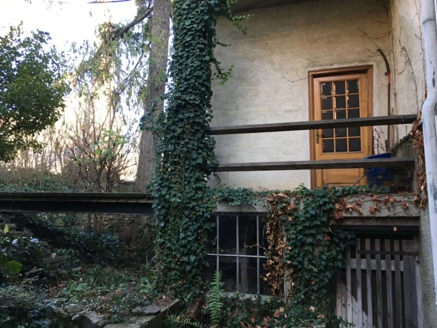 Ihr neues Zuhause in Bruck/Leitha