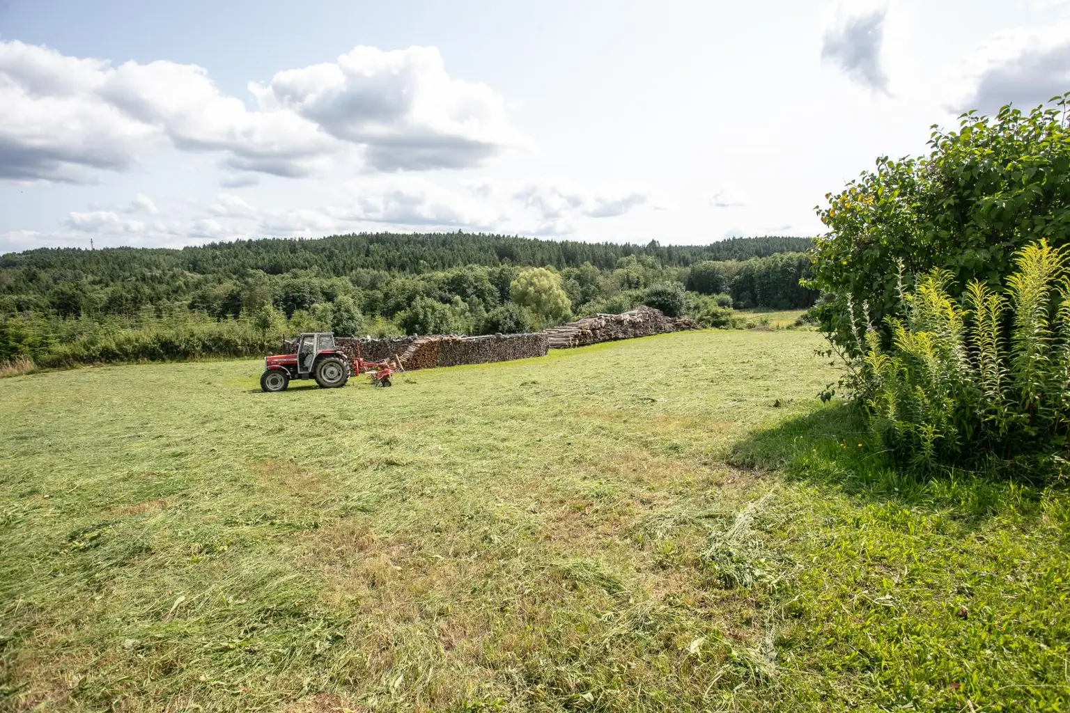 Sanierungsbedürftiger Bauernhof mit Hobby-Autowerkstatt in idyllischer Lage