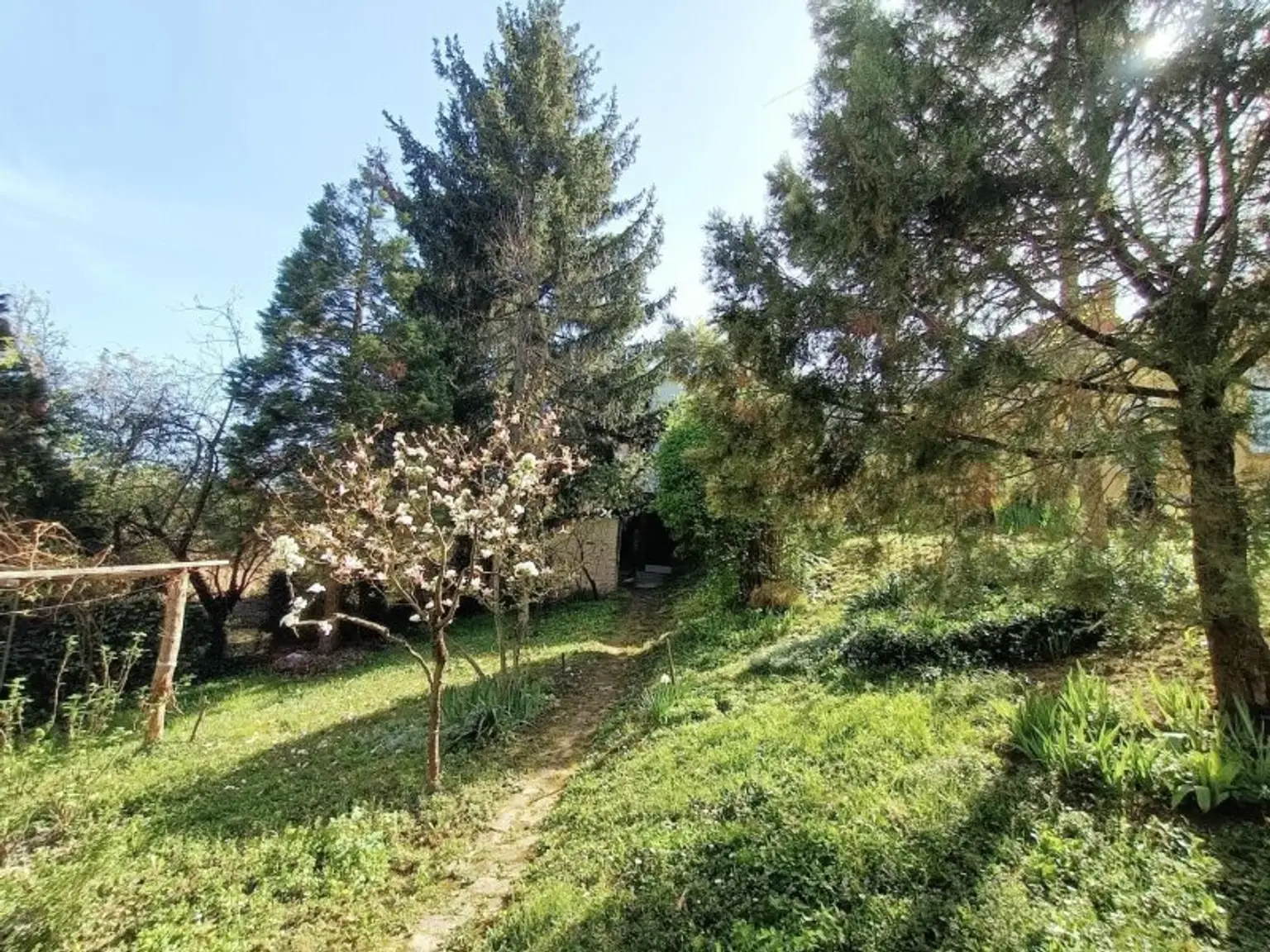 18. Hinterhof