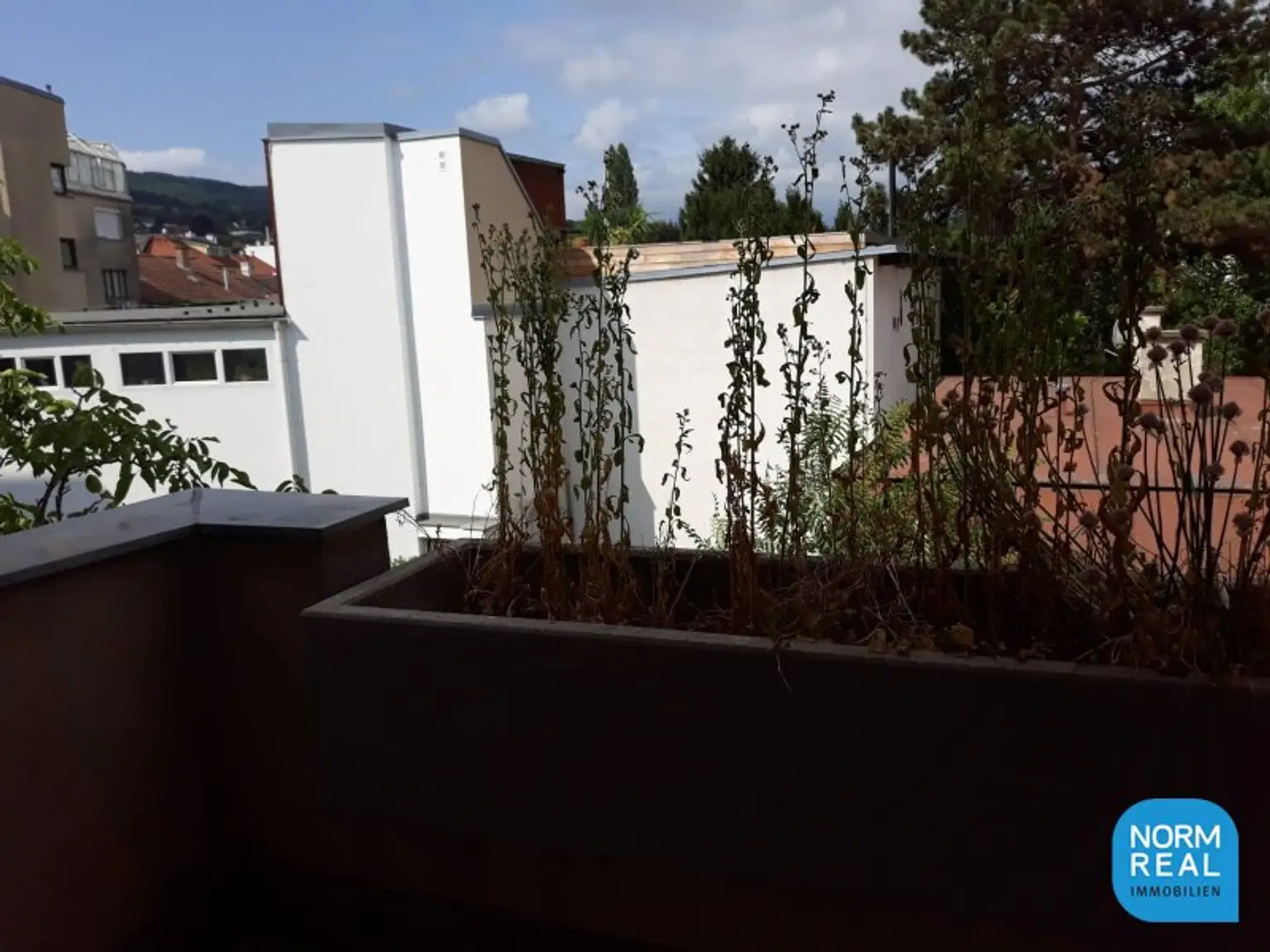 Sonnige Balkonwohnung in Weidling