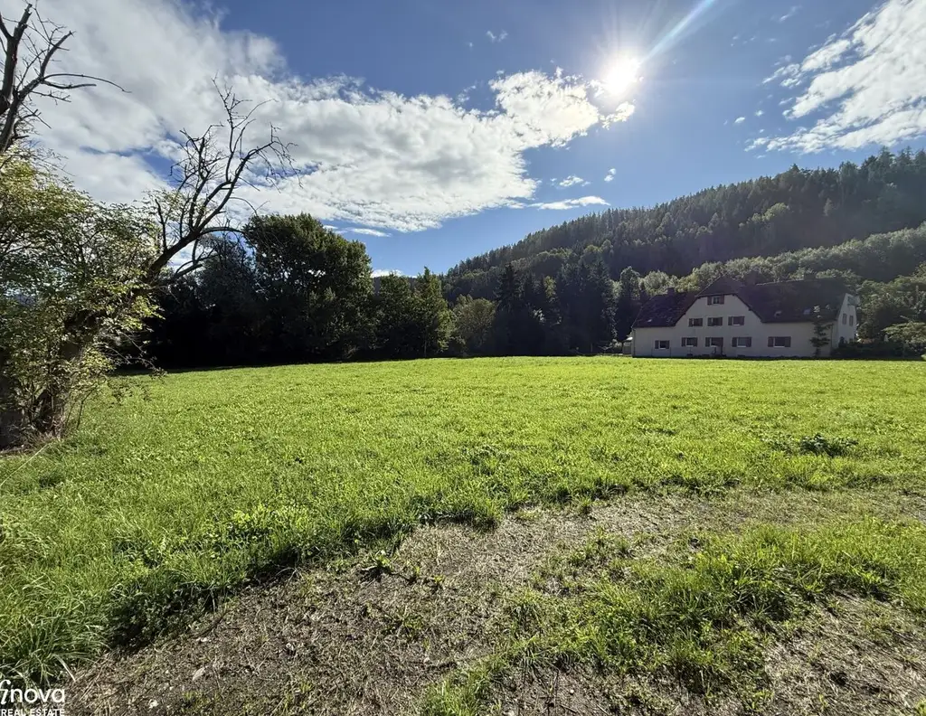 Baugrundstück im Grenzkataster - 3.830 m² in sonniger Lage - Niklasdorf / Waltenbach!!