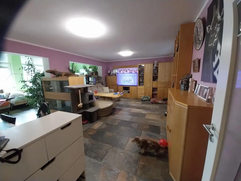 Ihr Traumhaus in Würmla - Wohnen mit Stil und Herz