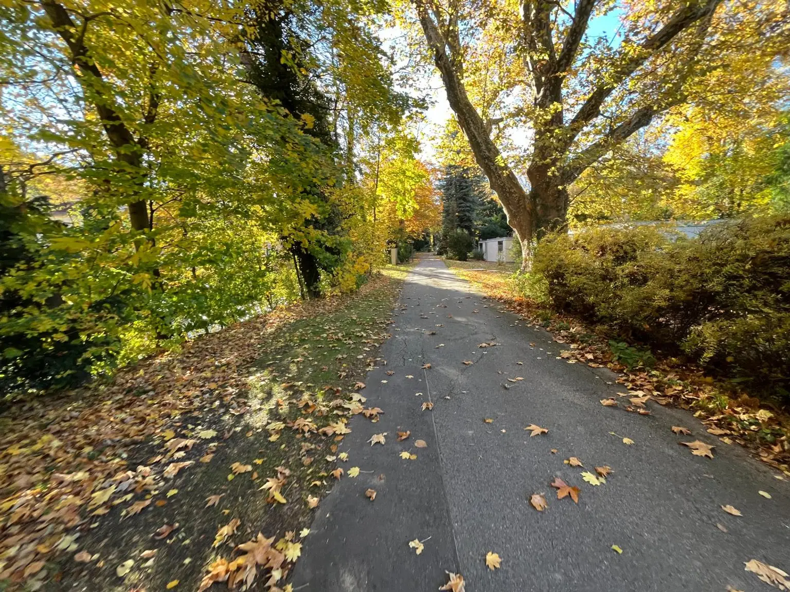 Wohnen wie im Urlaub - Bungalow im Schlosspark von Seebenstein zu mieten!