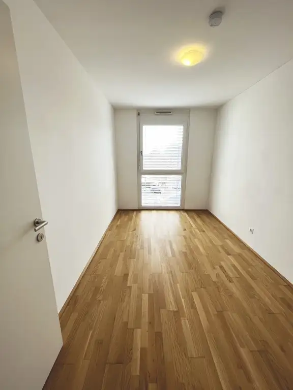 Zimmer