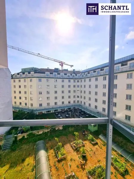 Zwischen Wiener Klassik und Naschmarkt Vibes - Ihr Zuhause mit Charme! Hofseitiger Balkon + Ruhiges Schlafzimmer! HIP und TRENDY die Gegend - Magisch schön das Altbauhaus - Ein MUST HAVE die Wohnung!