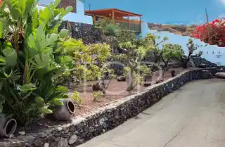 Finca-Auffahrt-Alcala-Teneriffa-4