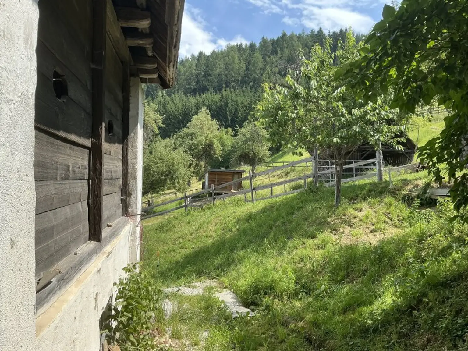 Pferdehof mit Panoramalage in Knittelfeld