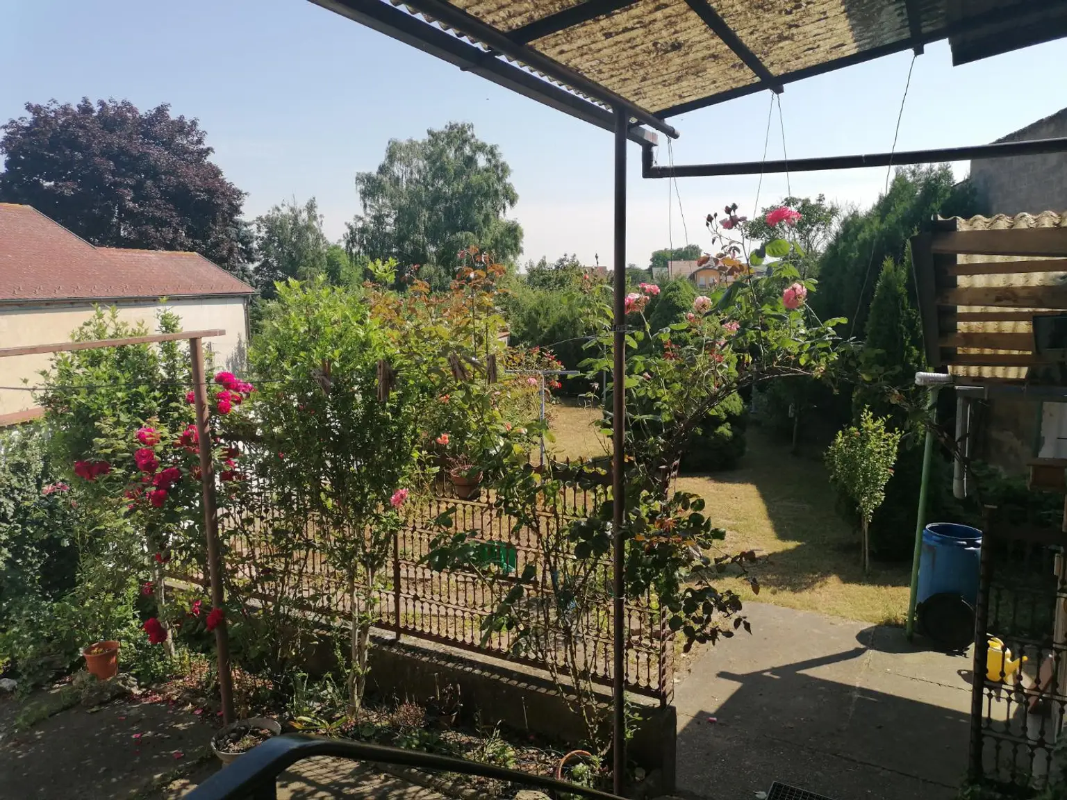 Einfamilienhaus mit kleinem Garten