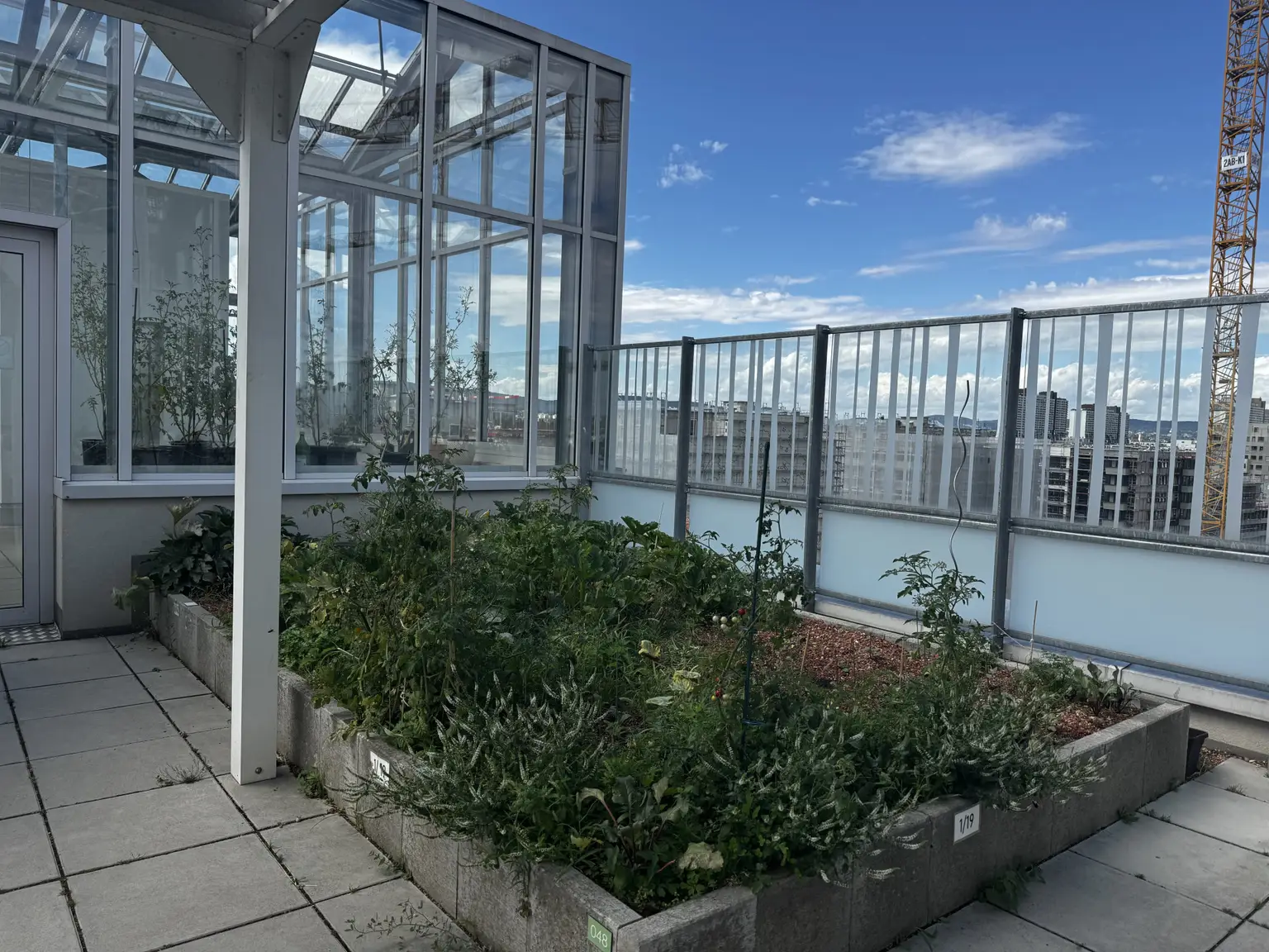 Dachterrasse
