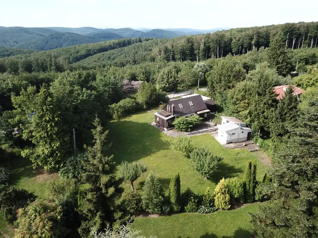 Idylle pur mitten im Wienerwald: Baugrund mit Fernblick! (DAVE)
