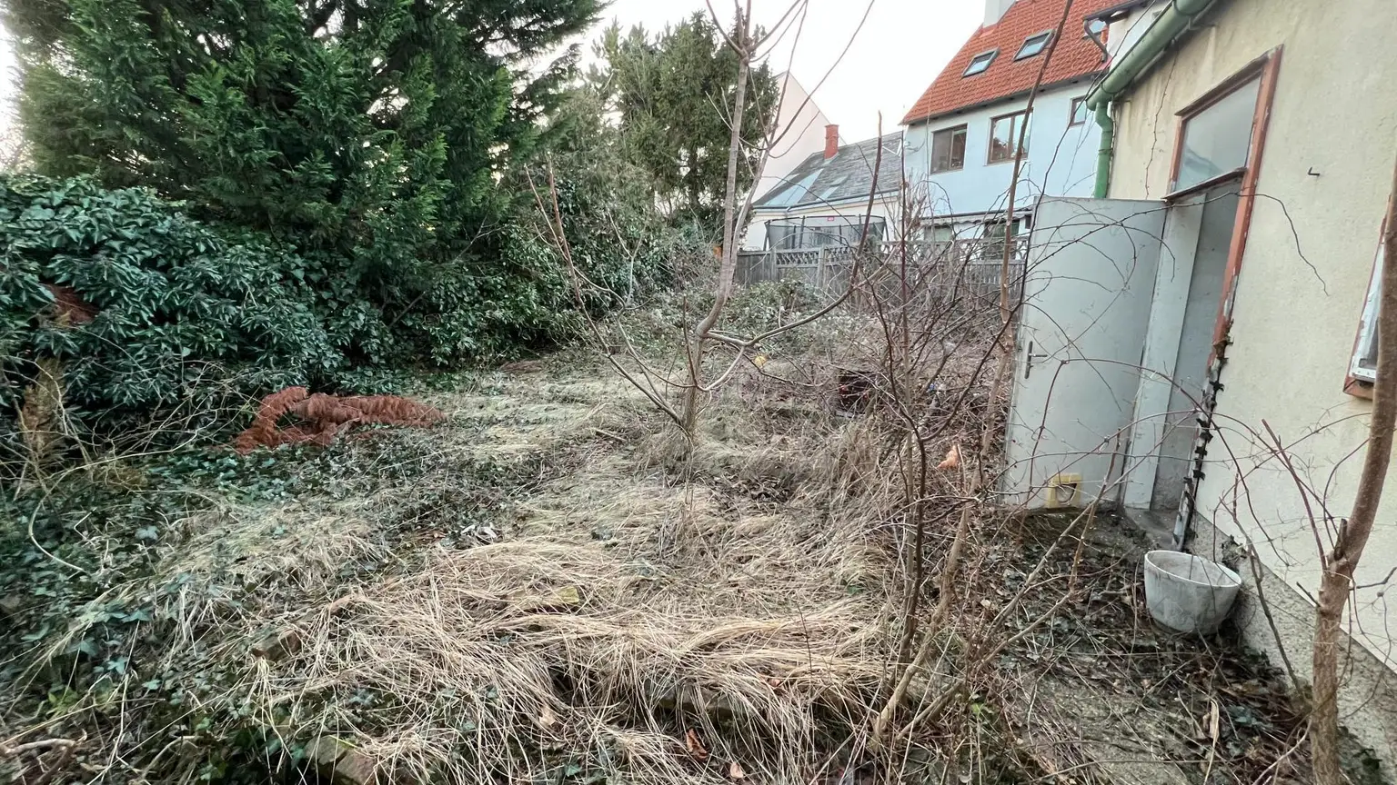 -20000434_1004159943_16344467