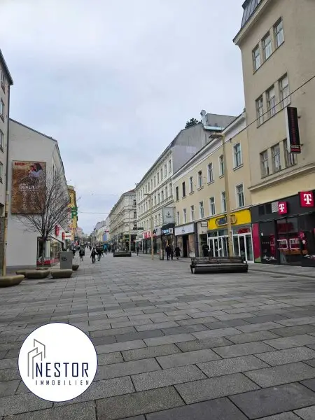 Geschäftslokal - NESTOR Immobilien
