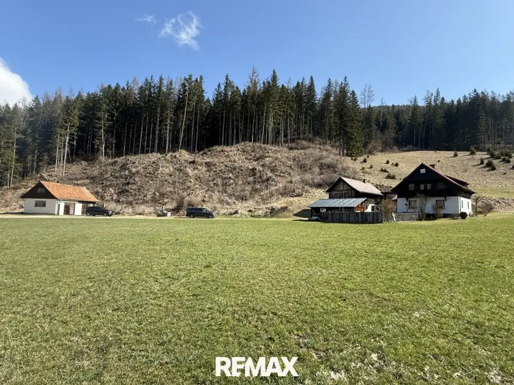 *** Charmantes teilsaniertes Landanwesen mit 10.978 m² Grund – Ruhe, Natur und vielseitige Nutzungsmöglichkeiten nur wenige Minuten zum grünen See ***
