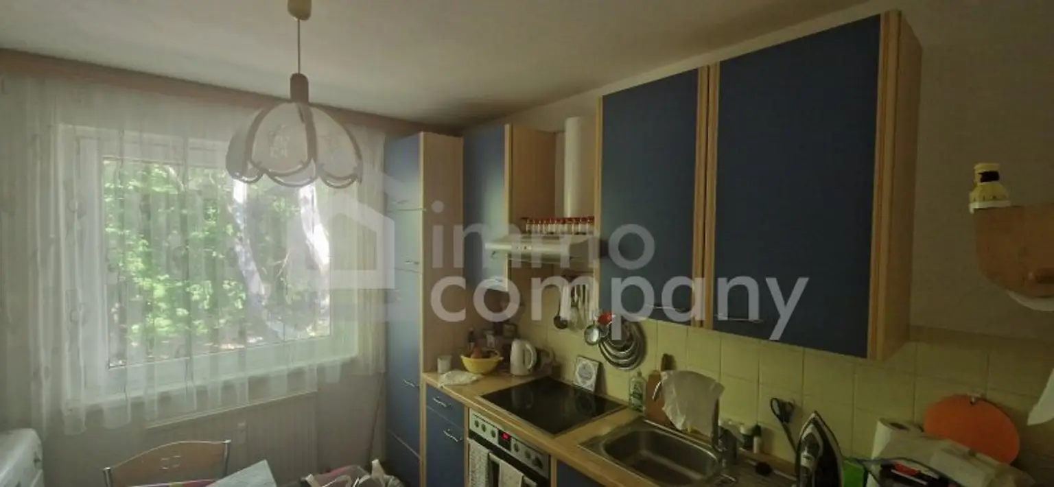 3 Zimmer Wohnung in super Ruhelage mit extrem viel Potenzial zum selbst gestalten in Rodaun