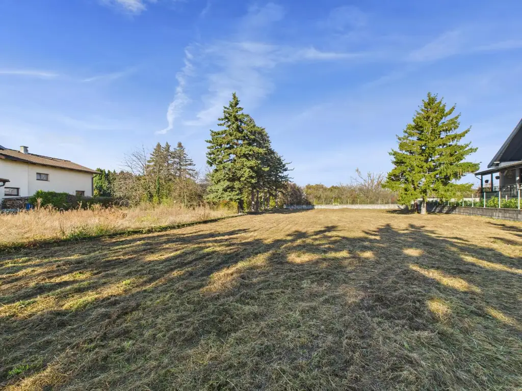 Sonniges Baugrundstück in Sollenau zu kaufen!